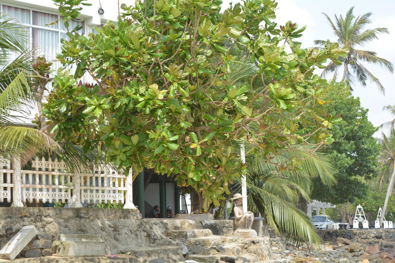 Sayurima Beach Hotel Ahangama Extérieur photo